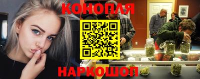 ешки Гатчина