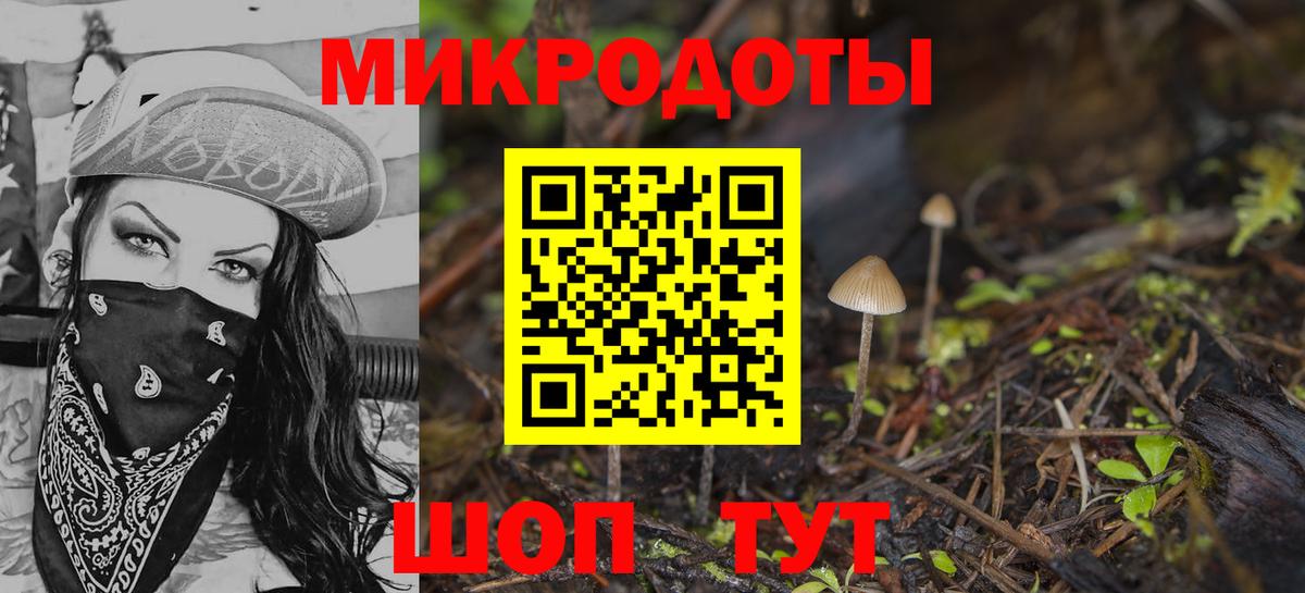 Набережные Челны  Галлюциногенные грибы Psilocybe  Вход с VPN 